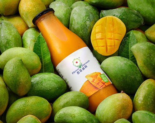 食品香精实力厂商